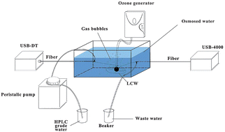 Graphical abstract: Intrinsic UV absorption spectrometry observed with a liquid core waveguide as a sensor technique for monitoring ozone in water