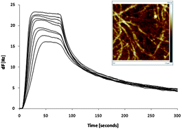 Graphical abstract: Collagen I and III and their decorin modified surfaces studied by atomic force microscopy and the elucidation of their affinity toward positive apolipoprotein B-100 residue by quartz crystal microbalance