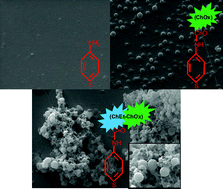 Graphical abstract: Mediator free cholesterol biosensor based on self-assembled monolayer platform