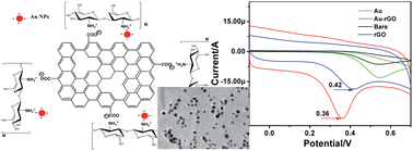 Graphical abstract: Catalytic oxidation and determination of β-NADH using self-assembly hybrid of gold nanoparticles and graphene