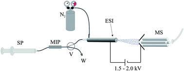 Graphical abstract: Quantitation of drugsvia molecularly imprinted polymer solid phase extraction and electrospray ionization mass spectrometry: benzodiazepines in human plasma