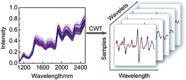 Graphical abstract: Wavelet unfolded partial least squares for near-infrared spectral quantitative analysis of blood and tobacco powder samples