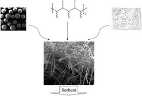 Graphical abstract: Electrospun nanofibers as sorbent material for solid phase extraction