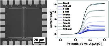Graphical abstract: Single on-chip gold nanowires for electrochemical biosensing of glucose