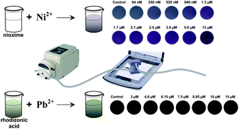 Graphical abstract: Colorimetric filtrations of metal chelate precipitations for the quantitative determination of nickel(ii) and lead(ii)