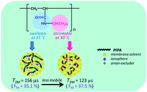 Graphical abstract: A new solvent polymeric membrane electrode incorporating poly(N-isopropylacrylamide) as a polymer