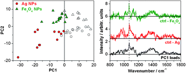 Graphical abstract: Nanoparticle microinjection and Raman spectroscopy as tools for nanotoxicology studies