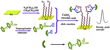 Graphical abstract: An ultra-sensitive electrochemical sensor for ascorbic acid based on click chemistry
