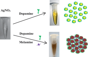 Graphical abstract: One-step synthesis of silver/dopamine nanoparticles and visual detection of melamine in raw milk