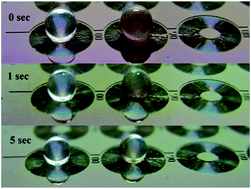 Graphical abstract: Magnetic iron oxide nanoparticle enrichment of phosphopeptides on a radiate microstructure MALDI chip