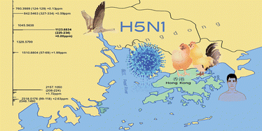 Graphical abstract: Evolution of H5N1 influenza virus through proteotyping of hemagglutinin with high resolution mass spectrometry