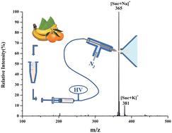 Graphical abstract: Direct analysis of oligosaccharides and alpha hydroxy acids in fruits using electrosonic spray ionization mass spectrometry