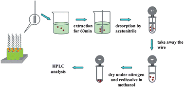 Graphical abstract: Titanium wire-based SPE coupled with HPLC for the analysis of PAHs in water samples