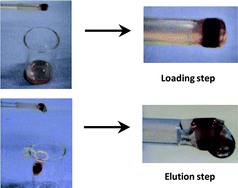 Graphical abstract: Design and evaluation of synthetic silica-based monolithic materials in shrinkable tube for efficient protein extraction