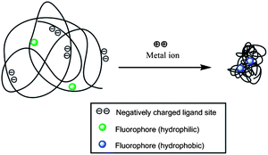 Graphical abstract: A ratiometric fluorescent metal ion indicator based on dansyl labeled poly(N-isopropylacrylamide) responds to a quenching metal ion