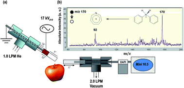 Graphical abstract: In situ analysis of agrochemical residues on fruit using ambient ionization on a handheld mass spectrometer