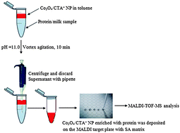 Graphical abstract: Rapid and highly sensitive protein extractionviacobalt oxide nanoparticle-based liquid–liquid microextraction coupled with MALDI mass spectrometry