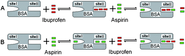 Graphical abstract: Competitive binding of small molecules with biopolymers: a fluorescence spectroscopy and chemometrics study of the interaction of aspirin and ibuprofen with BSA