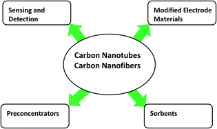 Graphical abstract: Applications of nanoscale carbon-based materials in heavy metal sensing and detection