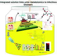 Graphical abstract: Development of an integrated metabolomic profiling approach for infectious diseases research