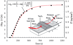 Graphical abstract: Determination of surface protein coverage by composite waveguide based polarimetric interferometry