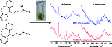 Graphical abstract: Evaluation of the potential of surface enhancement Raman spectroscopy for detection of tricyclic psychotropic drugs. Case studies on imipramine and its metabolite