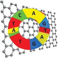 Graphical abstract: Chemically-modified graphenes for oxidation of DNA bases: analytical parameters