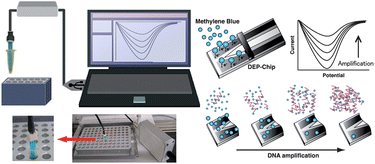 Graphical abstract: Semi-real time electrochemical monitoring for influenza virus RNA by reverse transcription loop-mediated isothermal amplification using a USB powered portable potentiostat