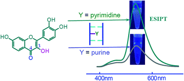 Graphical abstract: Fluorescence light-up recognition of DNA nucleotide based on selective abasic site binding of an excited-state intramolecular proton transfer probe