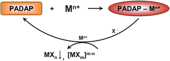 Graphical abstract: Using ratiometric indicator-displacement assays in semi-quantitative colorimetric determination of chloride, bromide, and iodide anions