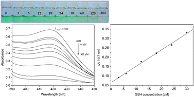 Graphical abstract: A novel colorimetric determination of reduced glutathione in A549 cells based on Fe3O4 magnetic nanoparticles as peroxidase mimetics