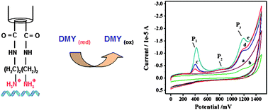 Graphical abstract: Electrochemical detection of dihydromyricetin using a DNA immobilized ethylenediamine/polyglutamic modified electrode