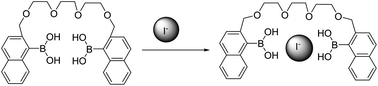 Graphical abstract: A simple and highly selective receptor for iodide in aqueous solution