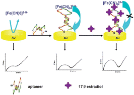 Graphical abstract: Label-free aptamer-based electrochemical impedance biosensor for 17β-estradiol