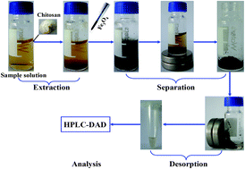 Graphical abstract: Magnetic retrieval of chitosan: Extraction of bioactive constituents from green tea beverage samples