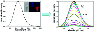 Graphical abstract: Stable fluorescent gold nanoparticles for detection of Cu2+ with good sensitivity and selectivity