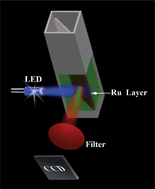 Graphical abstract: An in situ applicable colorimetric Cu2+ sensor using quantum dot quenching