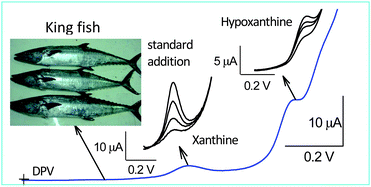 Graphical abstract: Simple method for simultaneous detection of uric acid, xanthine and hypoxanthine in fish samples using a glassy carbon electrode modified with as commercially received multiwalled carbon nanotubes