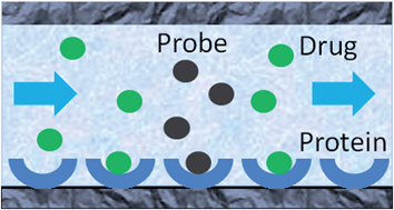 Graphical abstract: Chromatographic analysis of drug interactions in the serum proteome