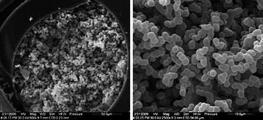 Graphical abstract: Methods of sample preparation for determination of veterinary residues in food matrices by porous monolith microextraction-based techniques