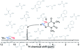 Graphical abstract: In situ analysis of [8-13C-7-15N]-double-labelled theophylline by a triple resonance NMR technique