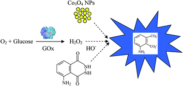 Graphical abstract: Co3O4 nanoparticles-enhanced luminol chemiluminescence and its application in H2O2 and glucose detection