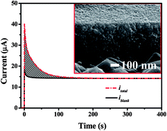 Graphical abstract: Robust TiO2/BDD heterojunction photoanodes for determination of chemical oxygen demand in wastewaters