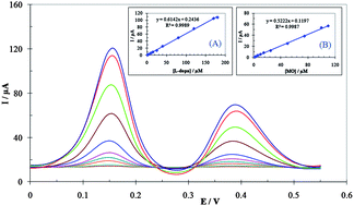 Graphical abstract: Multi-walled carbon nanotubes/chitosan polymer composite modified glassy carbon electrode for sensitive simultaneous determination of levodopa and morphine