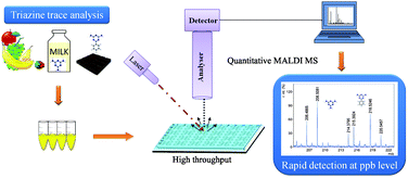 Graphical abstract: High throughput quantitative analysis of melamine and triazines by MALDI-TOF MS