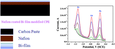 Graphical abstract: Bi-Film on a carbon paste electrode modified with nafion film embedded with multiwall carbon nano tubes for the determination of heavy metals