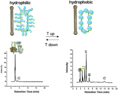 Graphical abstract: Thermoresponsive polymers in liquid chromatography