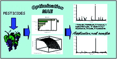 Graphical abstract: Validation of a microwave-assisted extraction gas chromatography detection method for the determination of fungicides in grapes