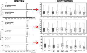 Graphical abstract: Quantitative UPLC-MS/MS analysis of the gut microbial co-metabolites phenylacetylglutamine, 4-cresyl sulphate and hippurate in human urine: INTERMAP Study