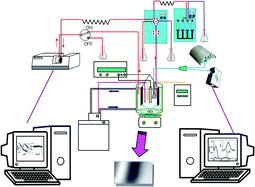 Graphical abstract: Process analytical chemistry in a nickel electroplating bath. Automated sequential injection for additive determination
